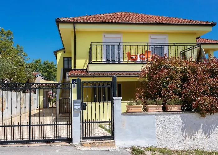 Dora Victoria Dream 메덜린